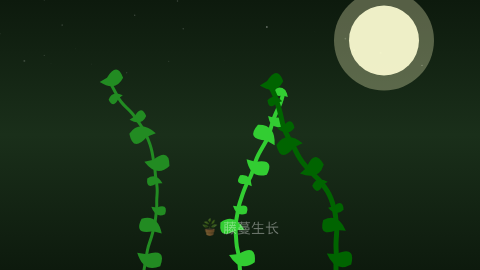 藤蔓生长